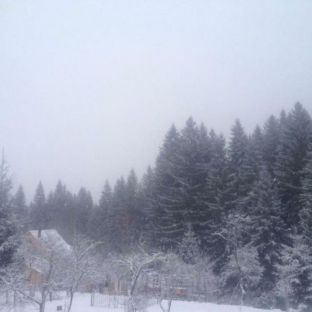 Forest Vibes Spa Cimpu lui Neag Luaran gambar
