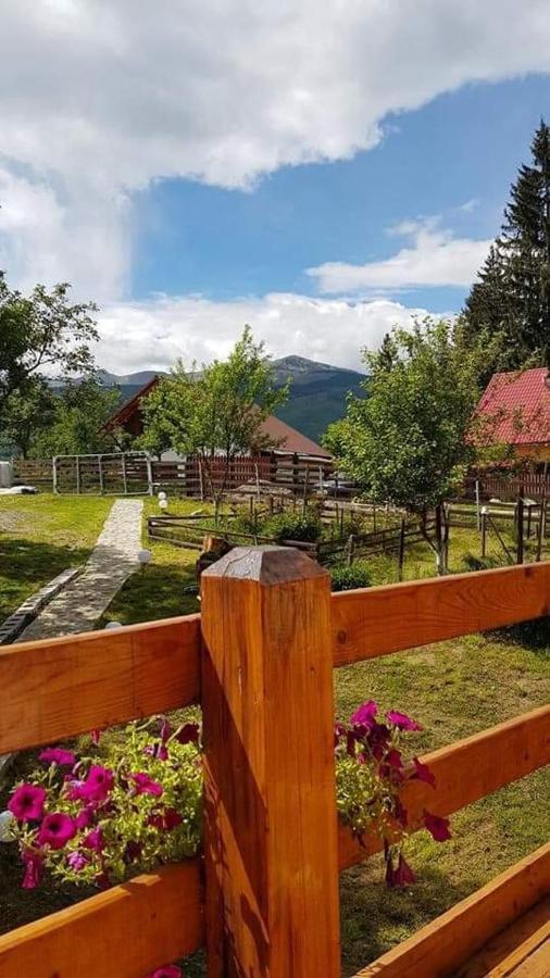 Forest Vibes Spa Cimpu lui Neag Luaran gambar
