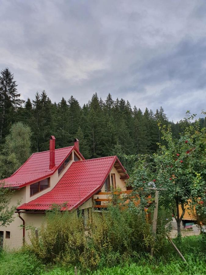 Forest Vibes Spa Cimpu lui Neag Luaran gambar