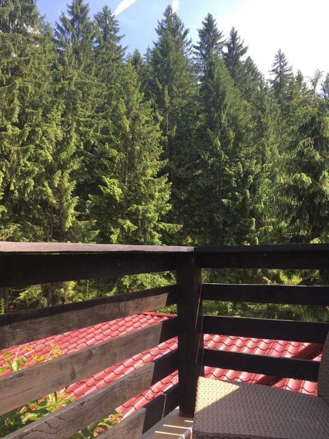 Forest Vibes Spa Cimpu lui Neag Luaran gambar