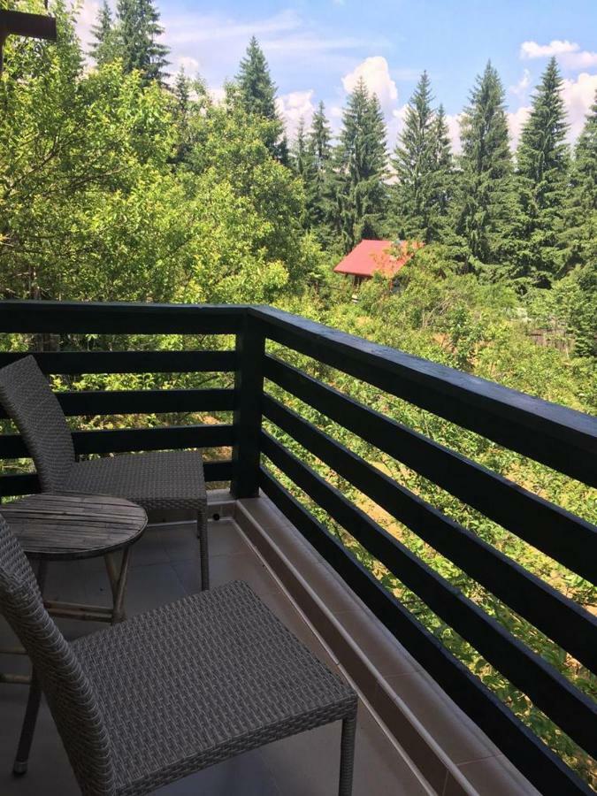 Forest Vibes Spa Cimpu lui Neag Luaran gambar
