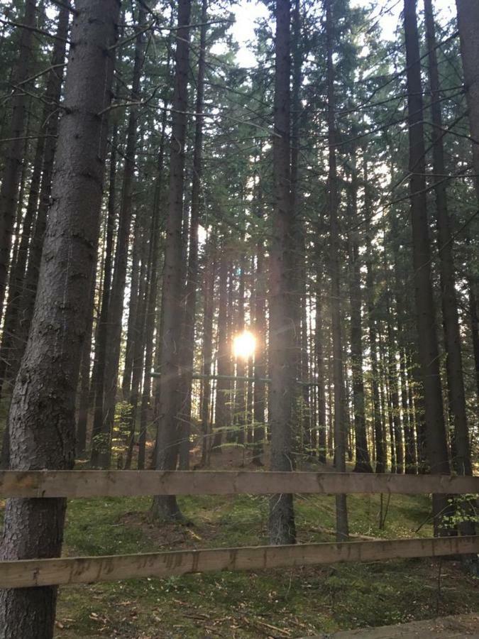 Forest Vibes Spa Cimpu lui Neag Luaran gambar